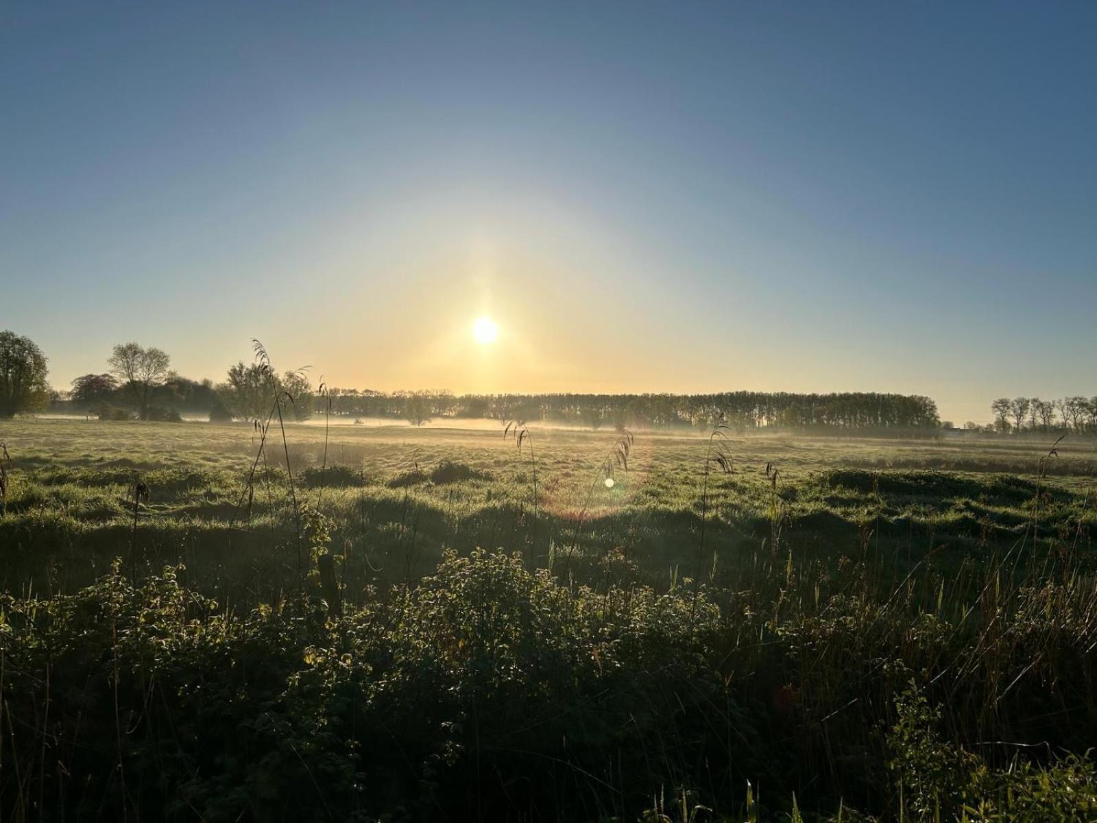 De Levensboom - Het Oud Gemeentehuis Дамме Экстерьер фото